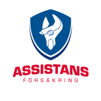 Autoexperten-Assistans